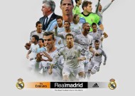 访问优化到底怎么样？全面解析